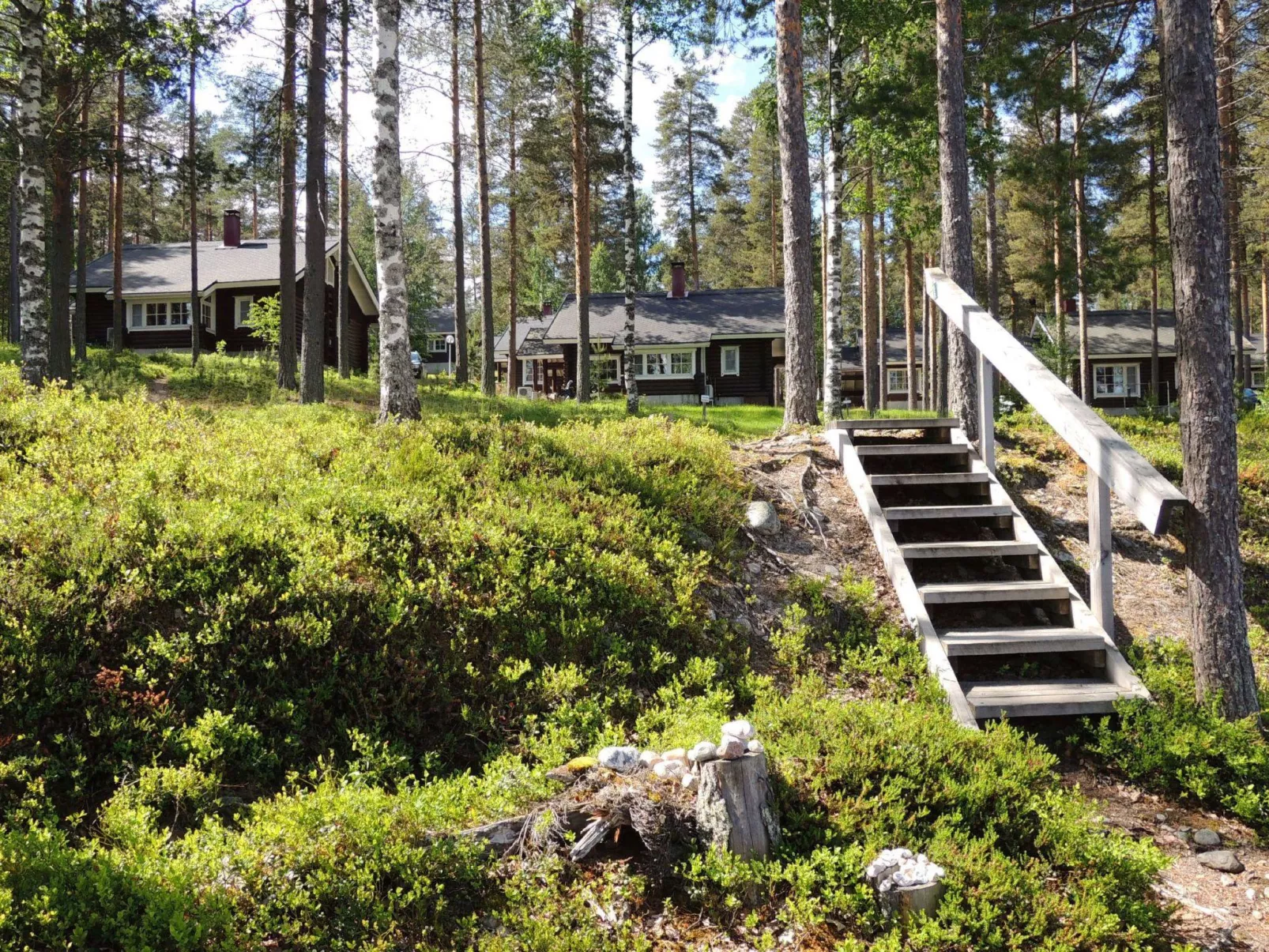 Kolin vernetti 1-Binnen