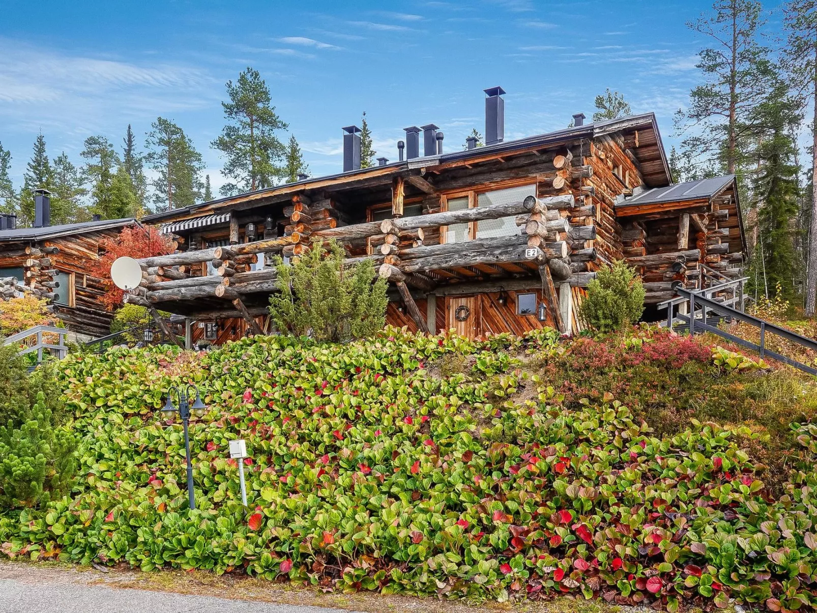 Sallanhelmi e2-Binnen