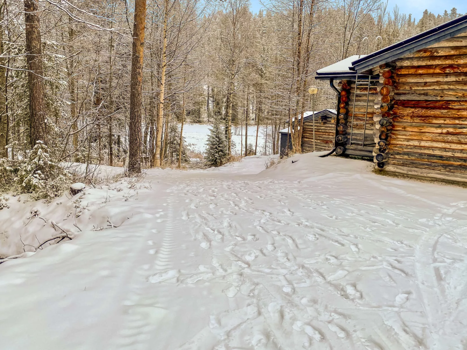 Salmikankaan kelo d2-Binnen