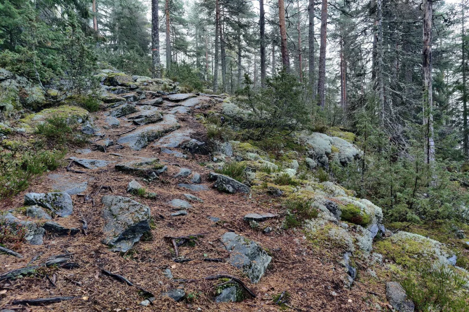 4 sterren vakantie huis in KIL-Niet-getagd