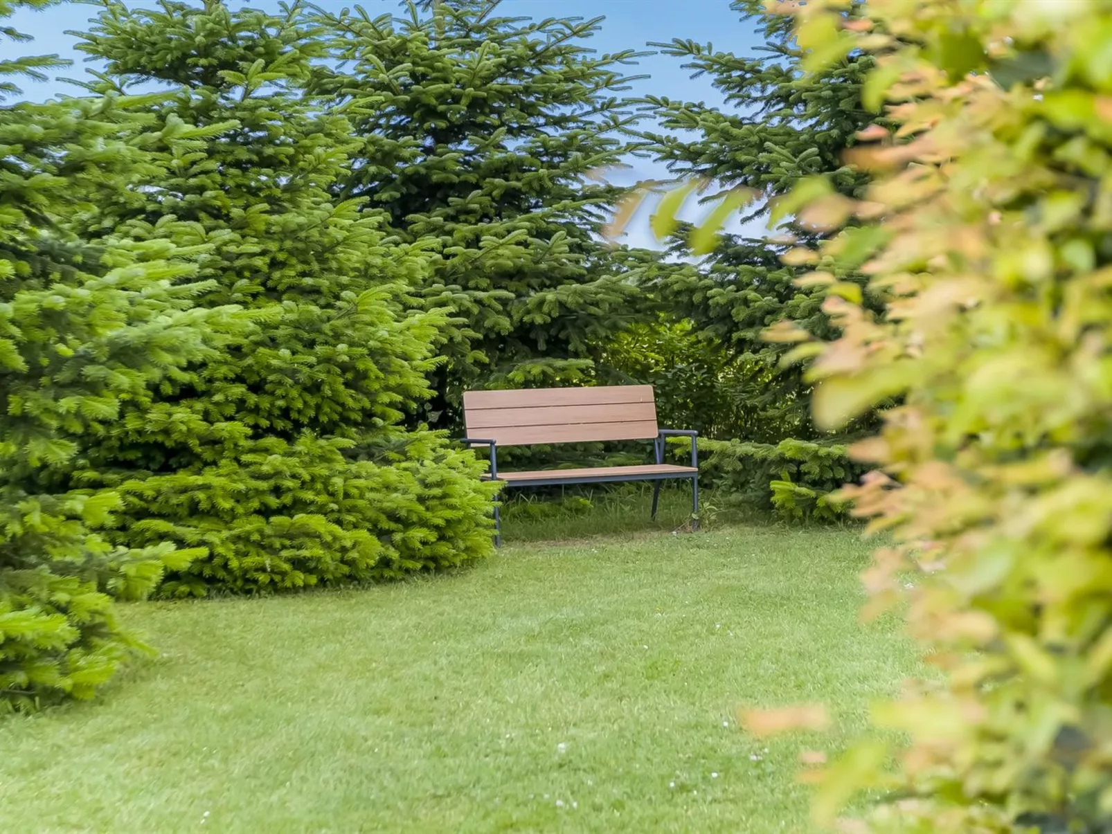 "Naimi" - 30km from the sea-Buiten