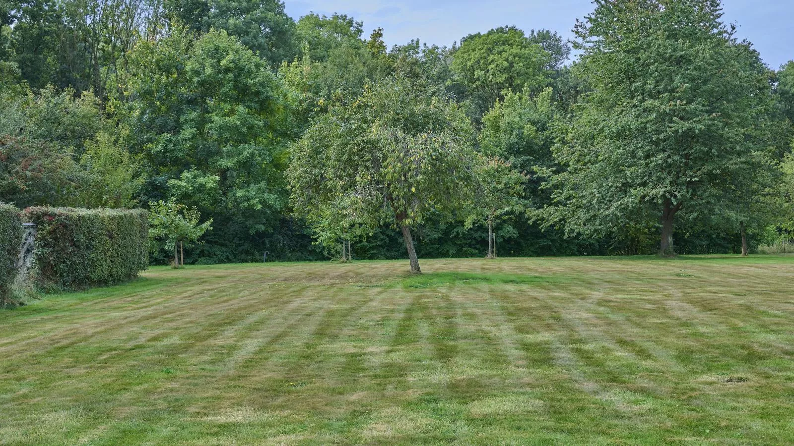 Bie Leentje op de Wei-Tuinen zomer