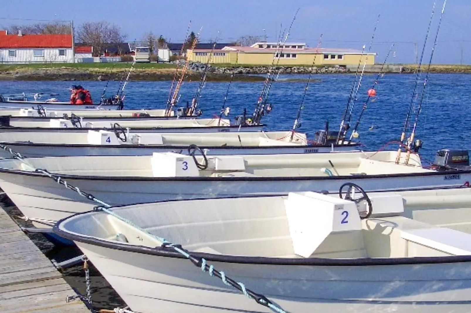 Zeezicht met boten en vissen-Niet-getagd
