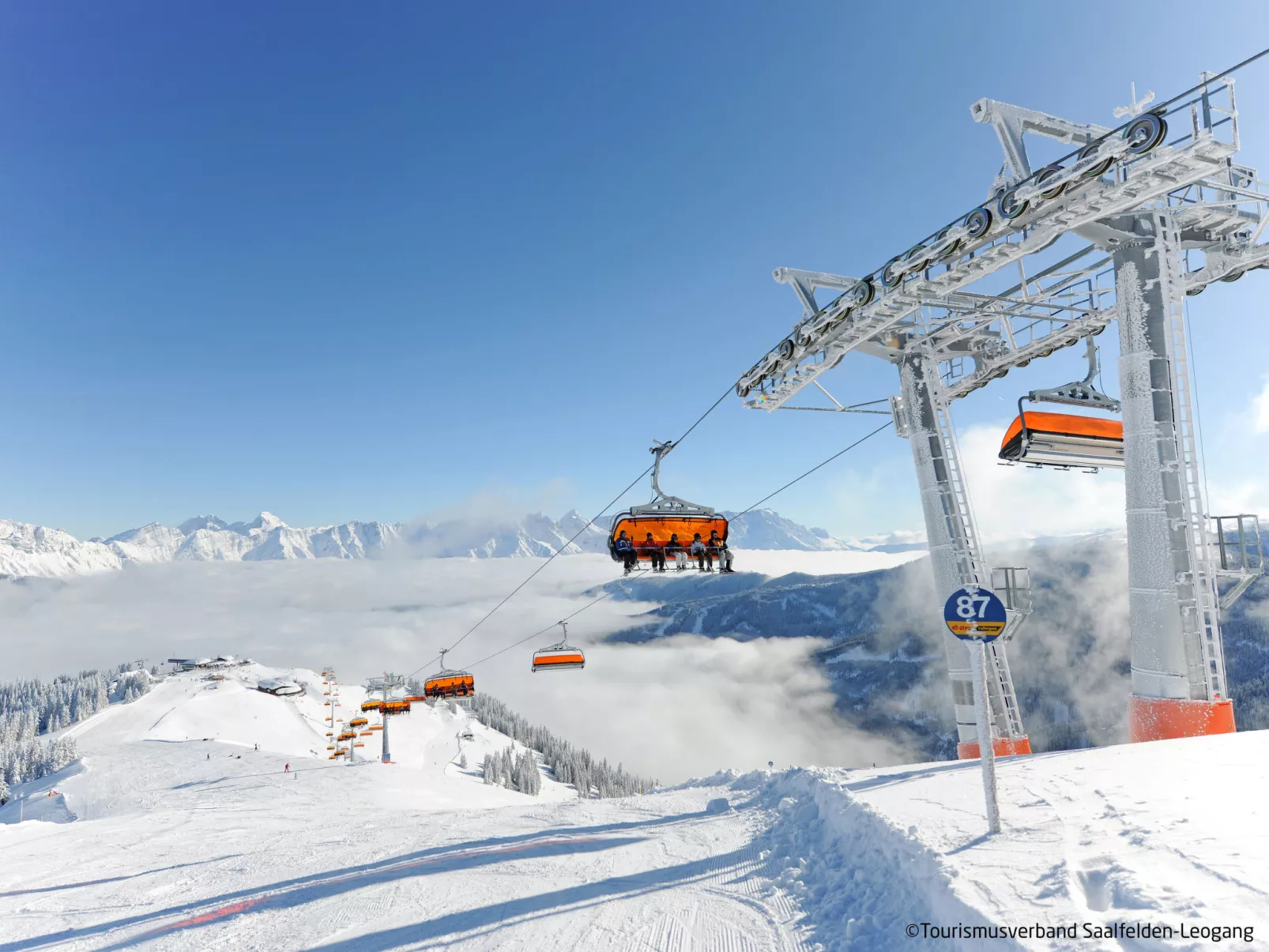 Waidmannsheil - 67qm-Omgeving