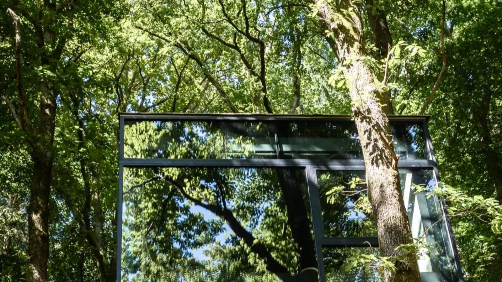Cabane dans les arbres-Buitenkant zomer