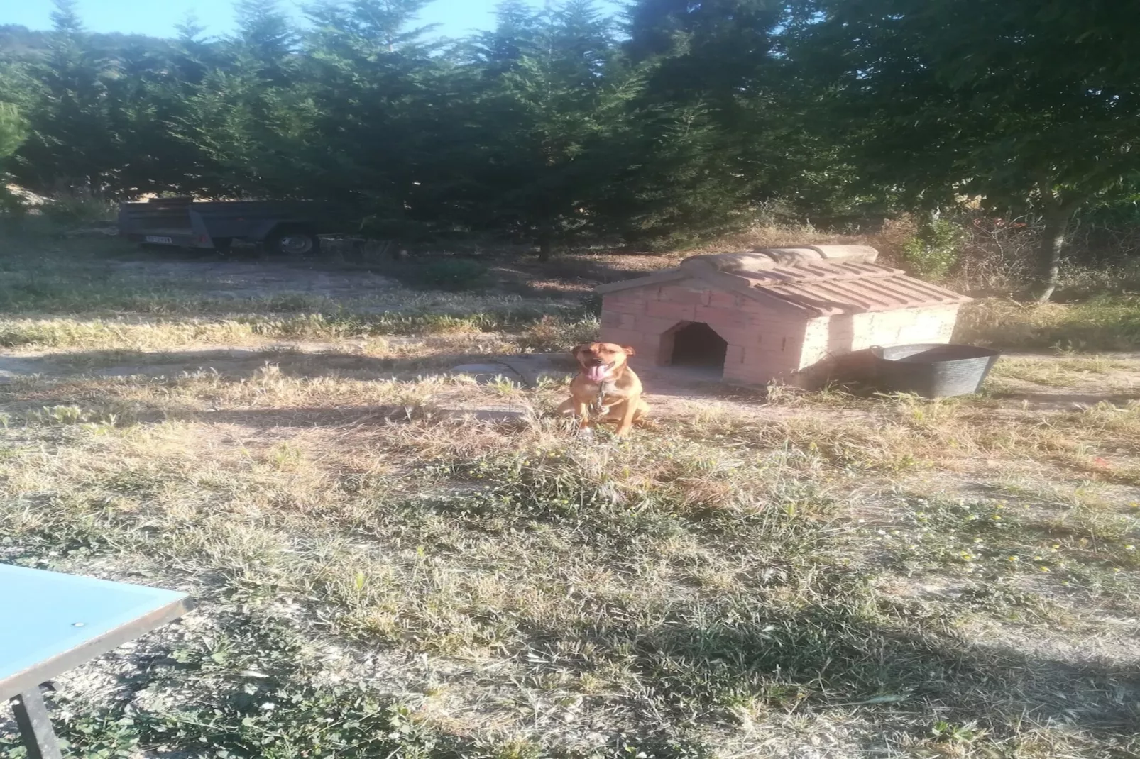 Cal Xelin-Gebieden zomer 1km