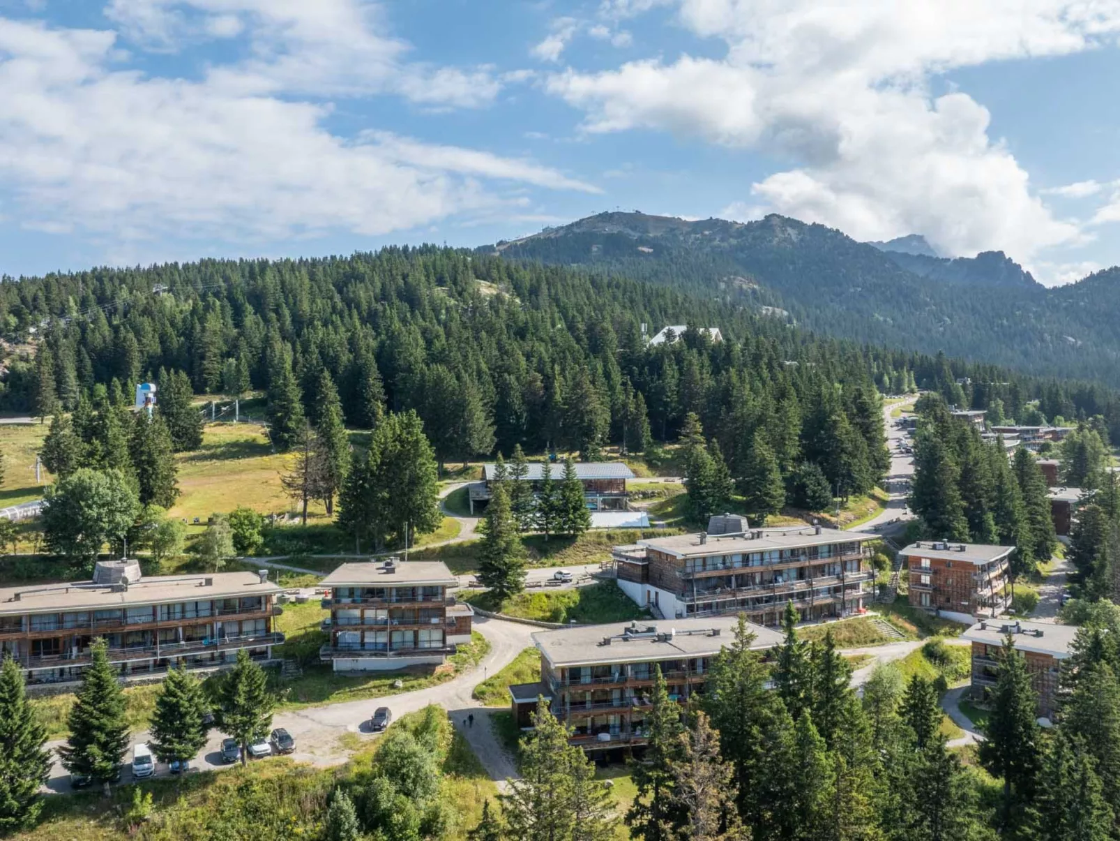 V du Bachat Asters E-Binnen