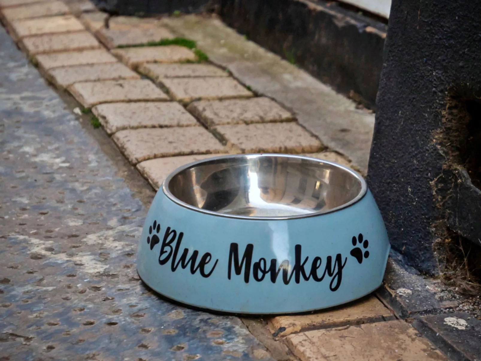 Blue Monkey-Binnen