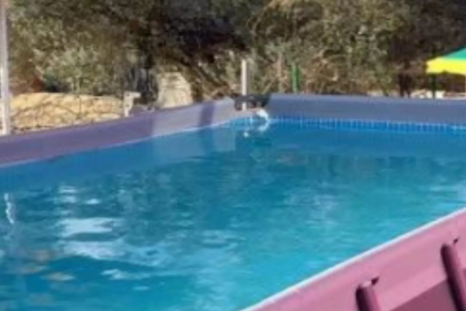 Holiday Home Village Paradise-Zwembad