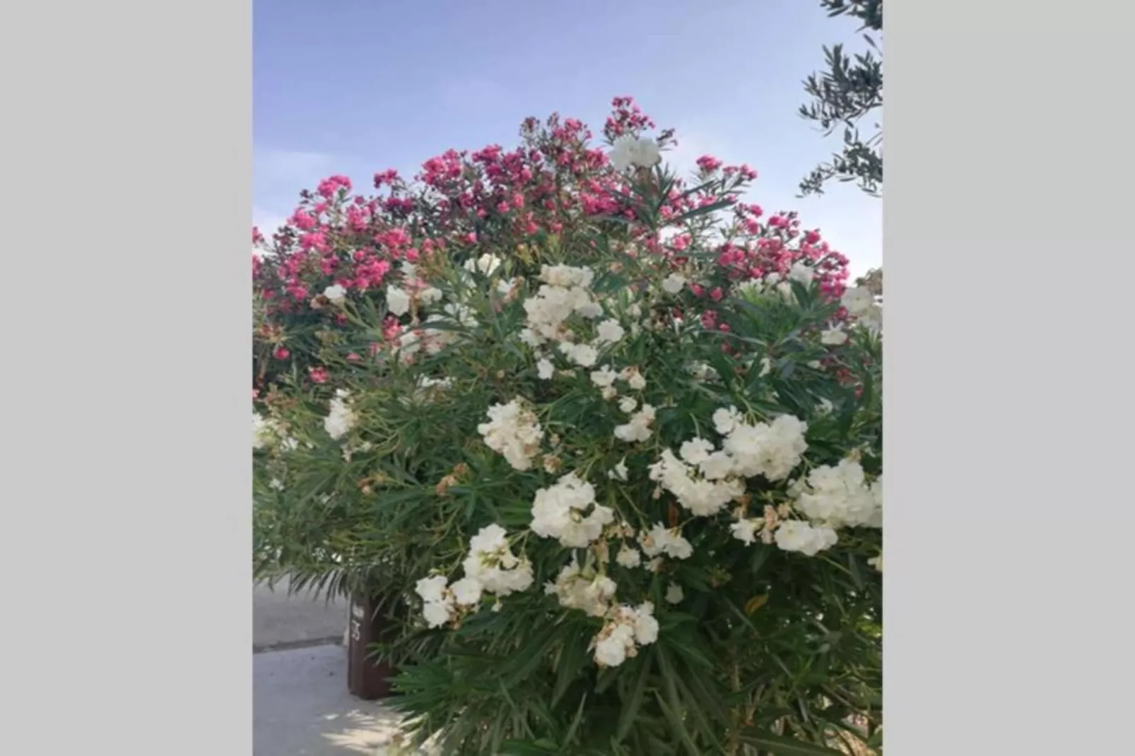 Holiday Home Ribarić - Four Bedroom Holiday Home with Terrace-Sfeer