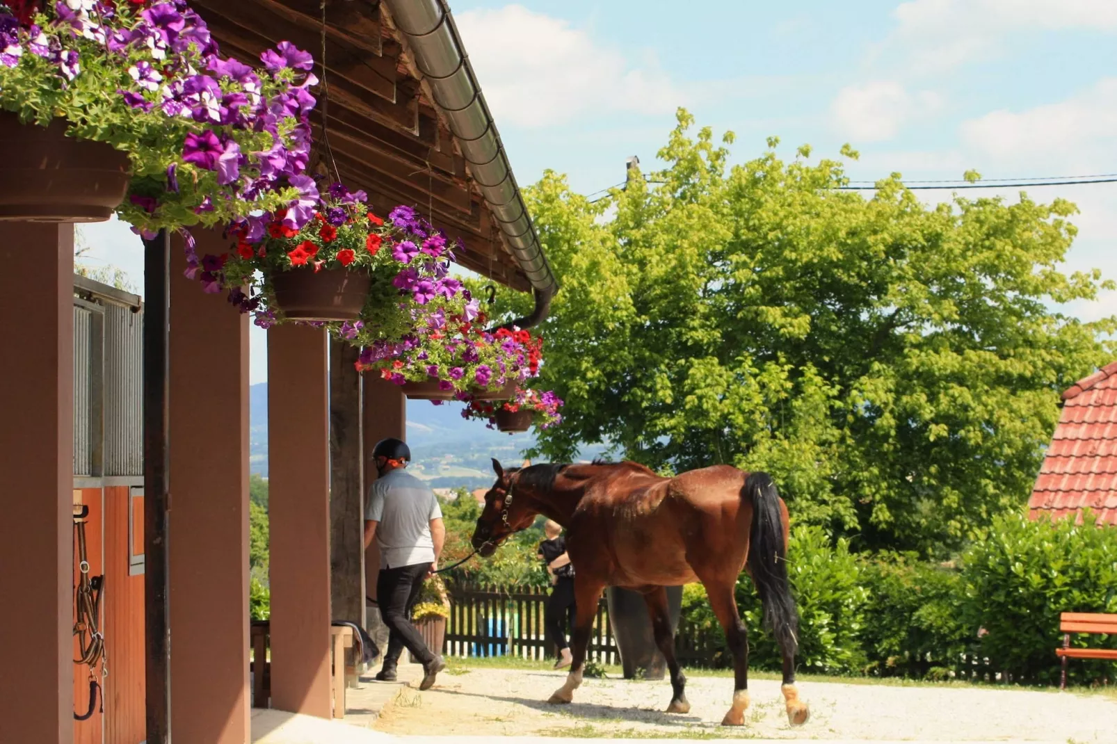 Zevnik Quiet Retreat with Stunning Views and Equestrian Activities - Triple Room with Private  Bathroom-Buitenlucht