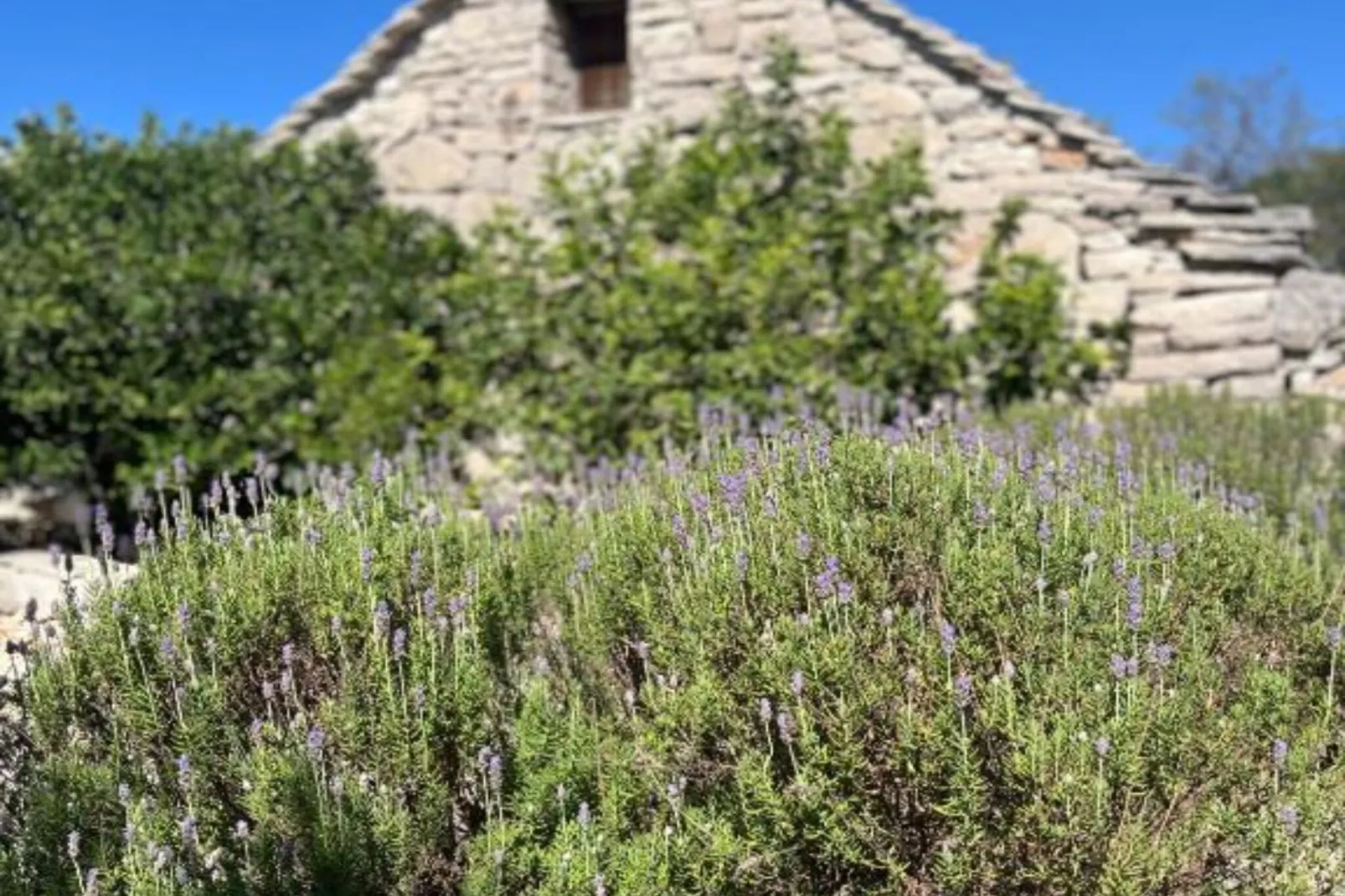 Romantic Stone House and Yard Near Stunning Beach - Two Bedroom Holiday Holiday Home  with  Patio and Terrace-Buitenlucht