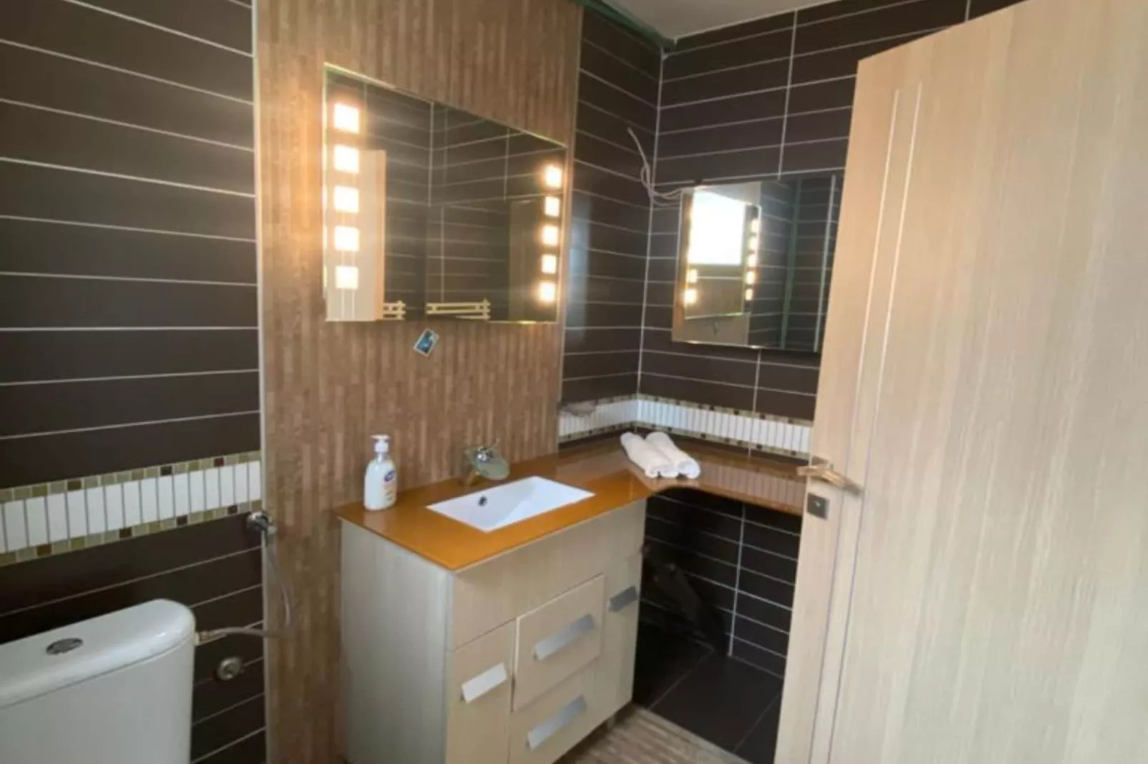 Villa Sarajevo Hills - Five Bedroom Villa with Terrace and Garden-Badkamer