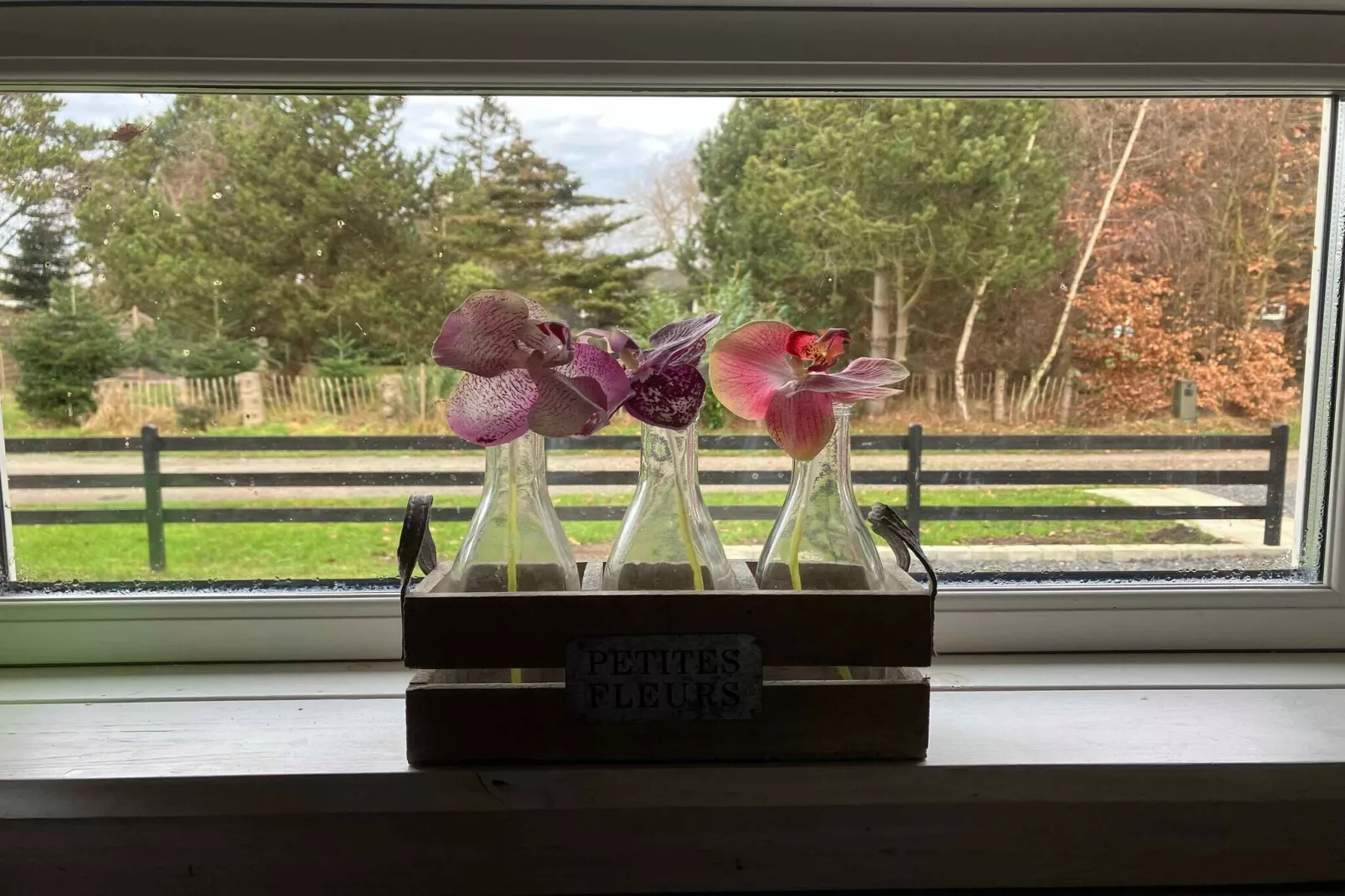 5 sterren vakantie huis in Gedser-Binnen