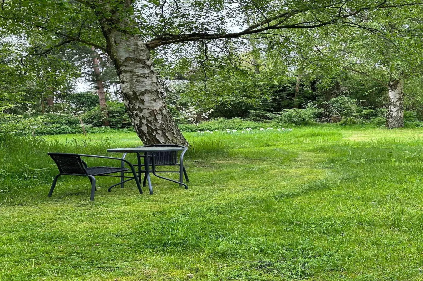 5 sterren vakantie huis in Knebel-Niet-getagd