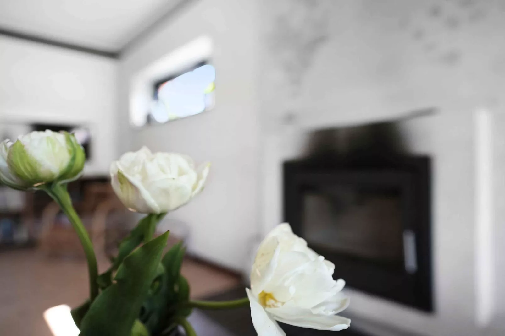 5 sterren vakantie huis in Græsted-Binnen