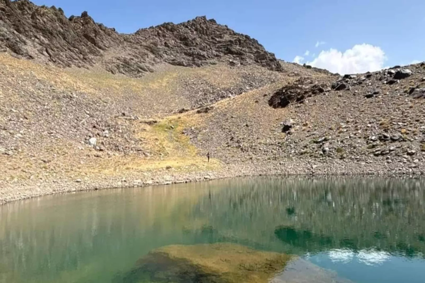 4608-Andrés-707-Gebieden zomer 5km
