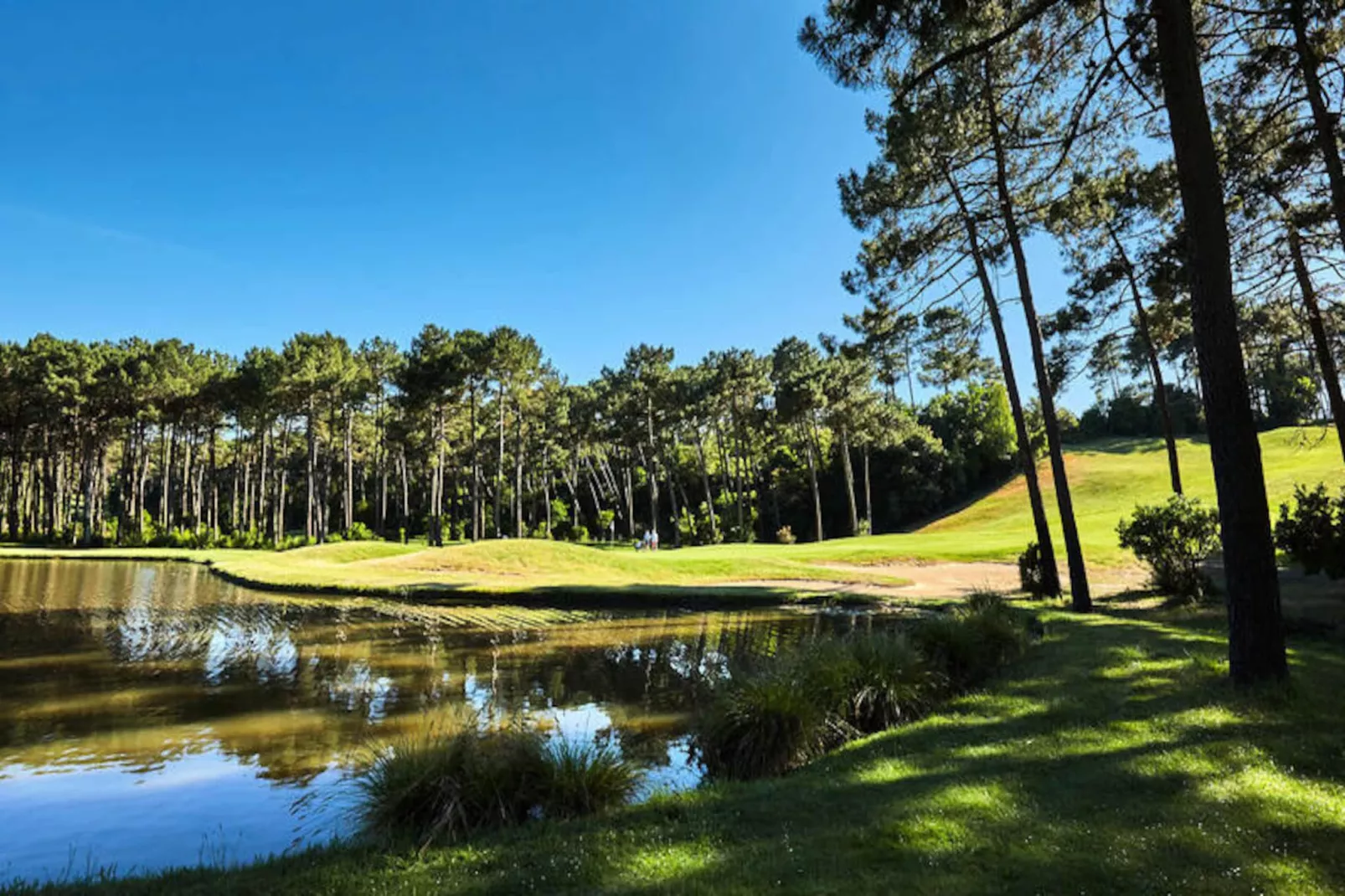 Maison à Lacanau-Niet-getagd