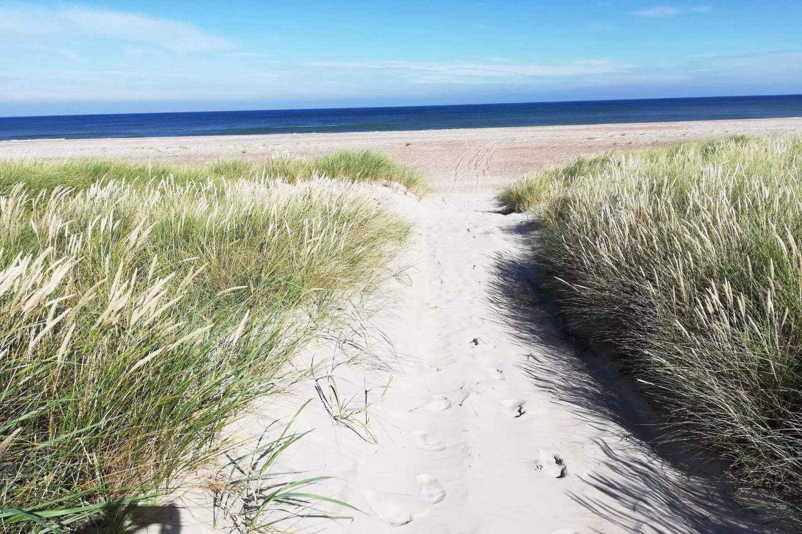 14 persoons vakantie huis in Løkken-Waterzicht