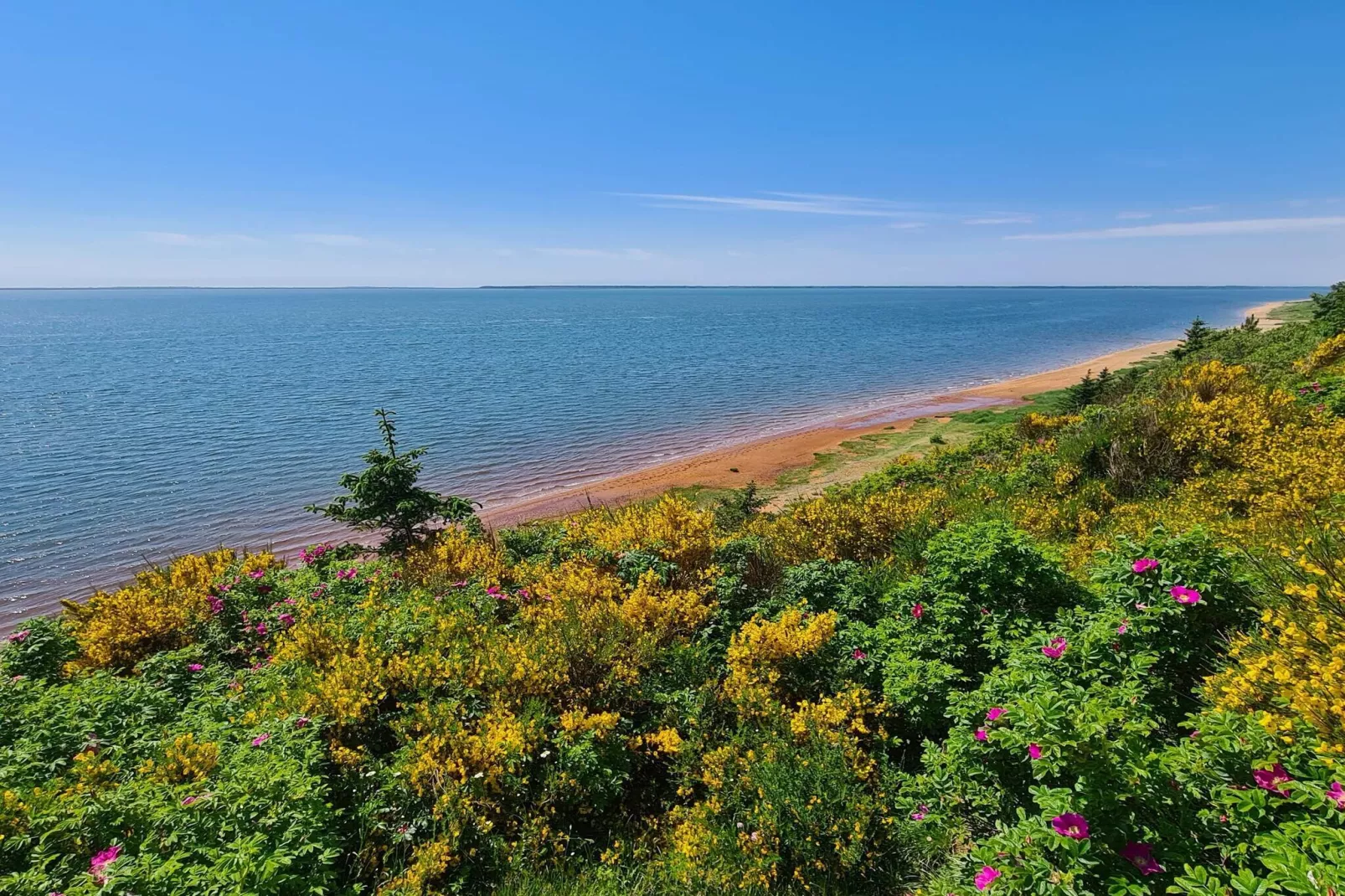 Luxe retraite bij Ho Baai -- By Traum Ferienwohnungen-Waterzicht