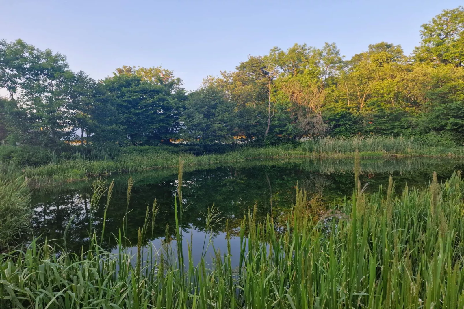 4 persoons vakantie huis in Nibe-By Traum-Zwembad