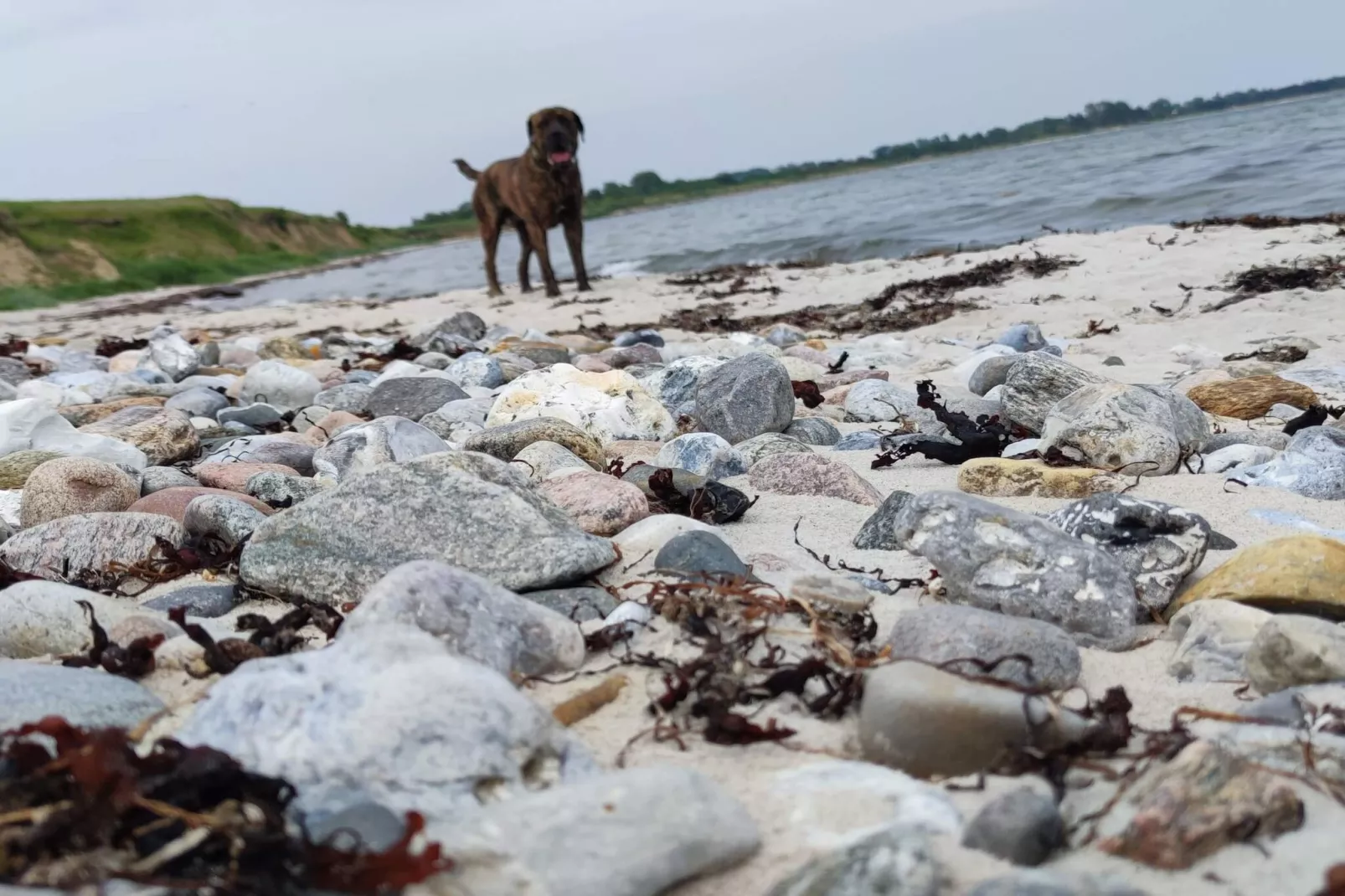 Luxe zwembad retraite in Kegnaes -- By Traum Ferienwohnungen-Waterzicht