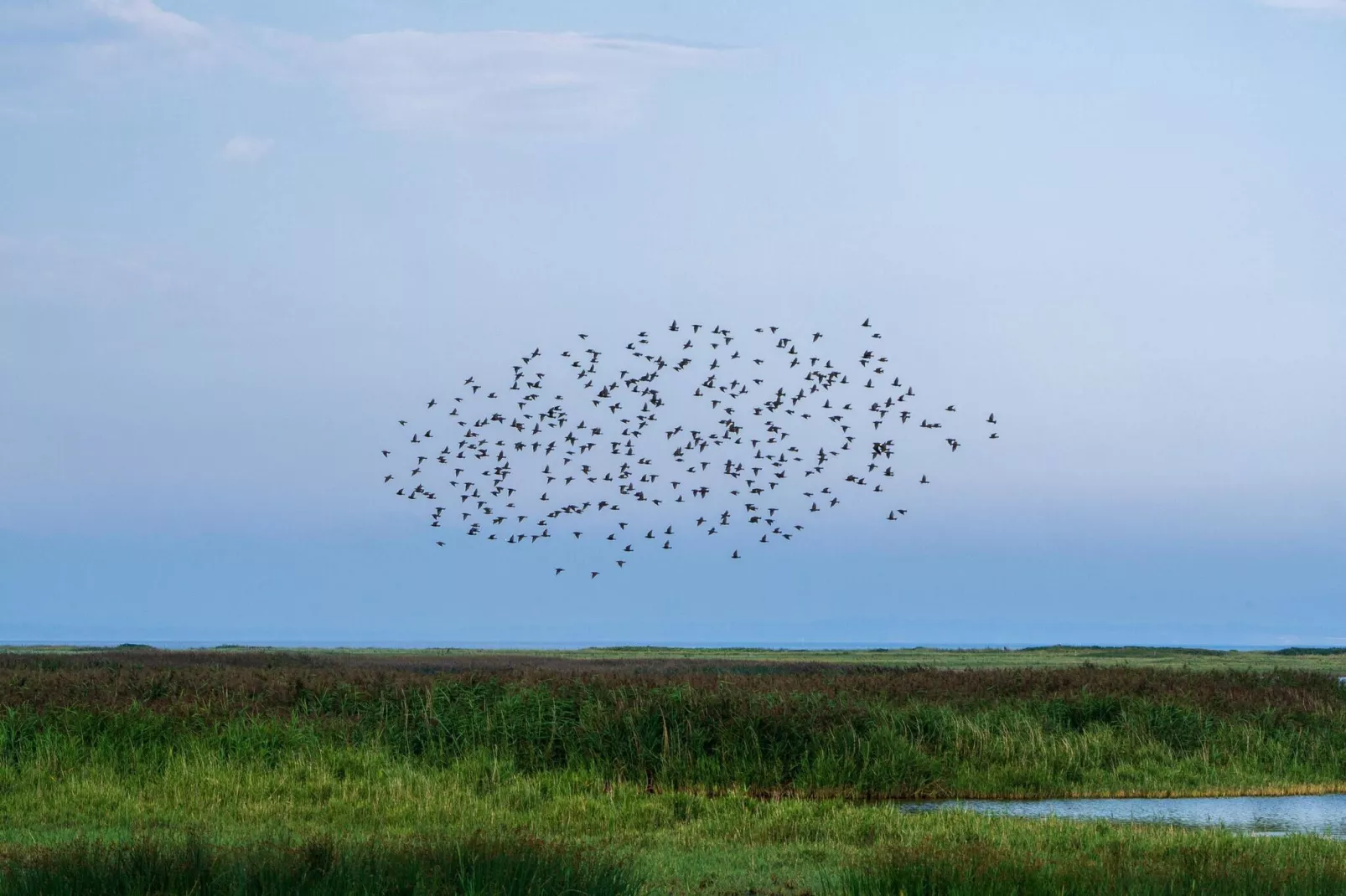 6 persoons vakantie huis in Vinderup-By Traum-Waterzicht