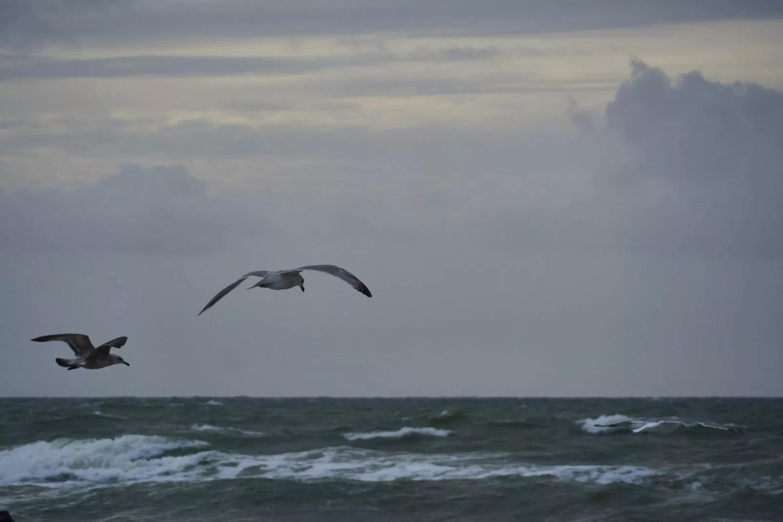 8 persoons vakantie huis in Harboøre-By Traum-Waterzicht