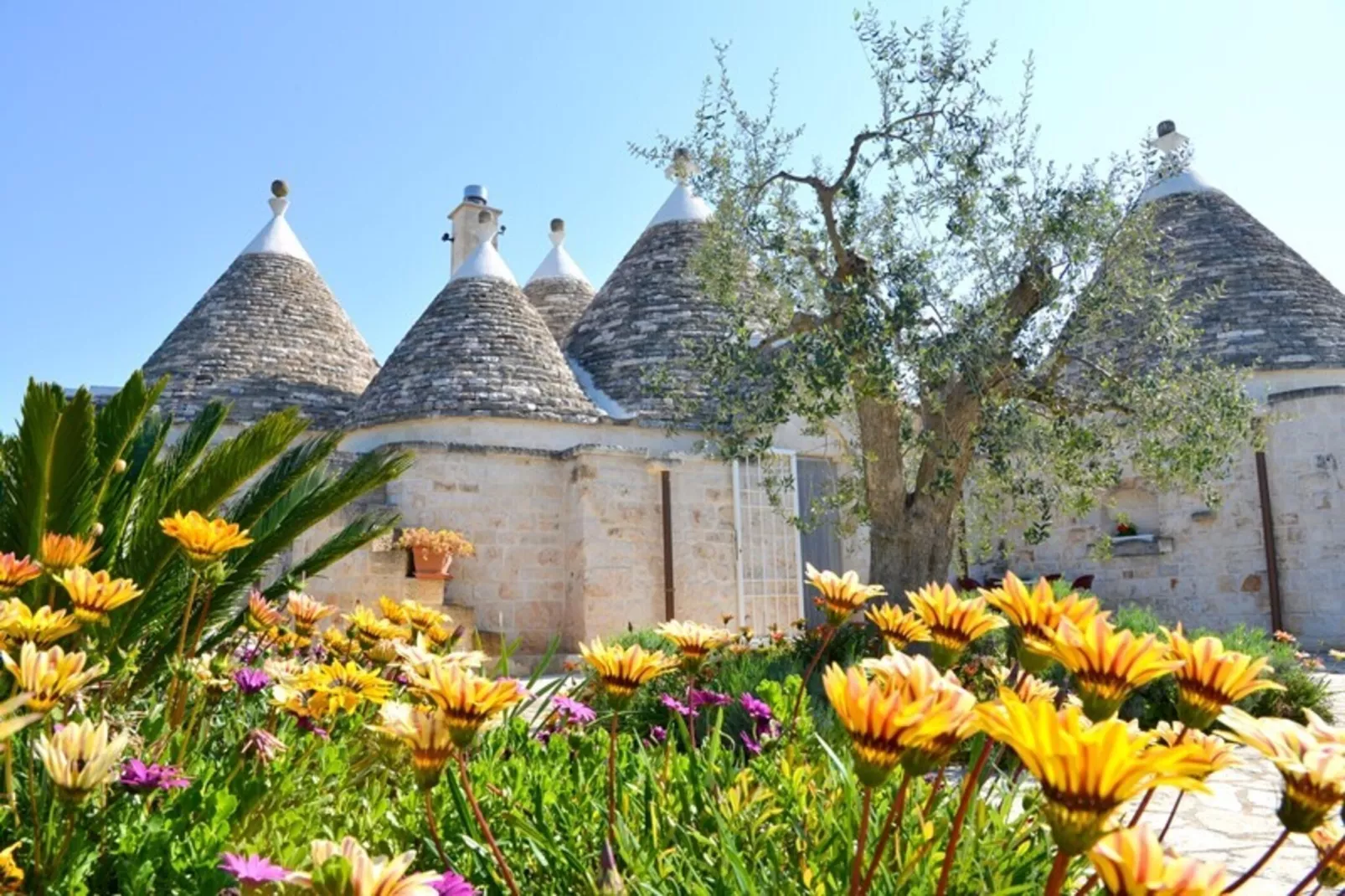 Holiday home Cisternino-Trullo Ulivo Antico-Buitenkant zomer