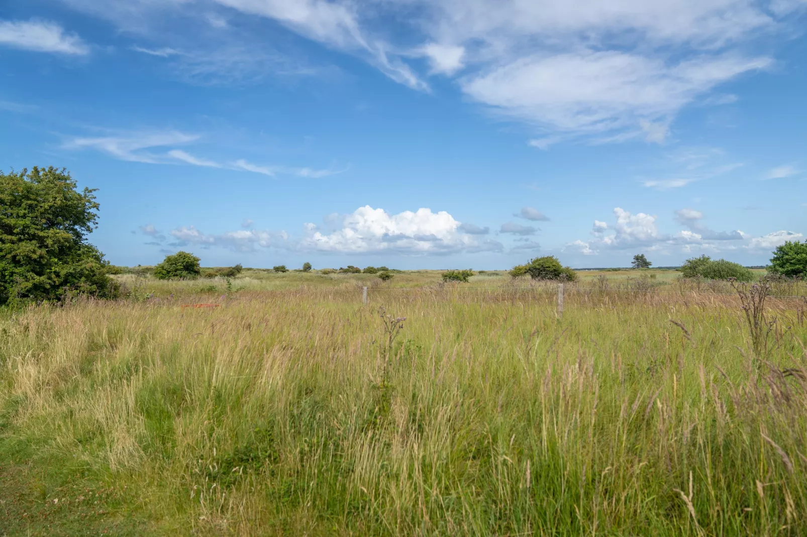 Vakantiepark Boomhiemke 2-Gebieden zomer 5km