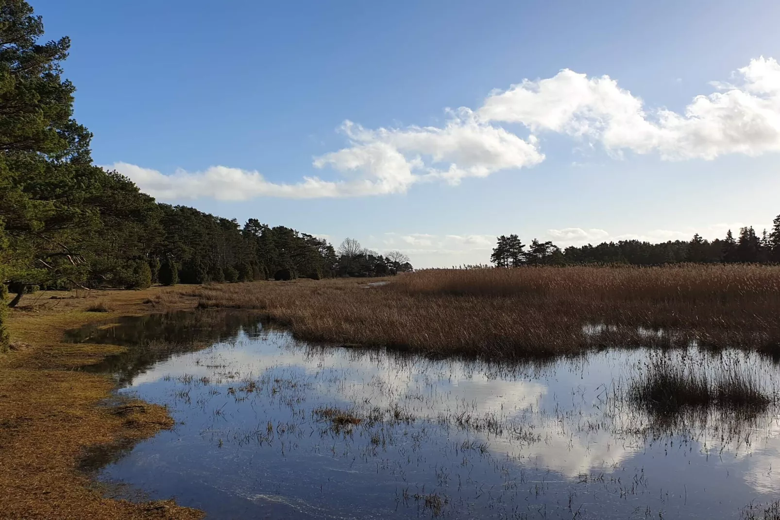 5 persoons vakantie huis in HALTORP-By Traum-Waterzicht