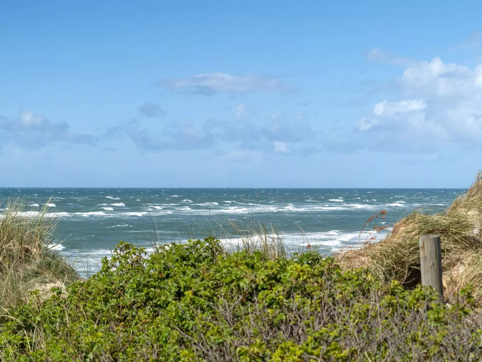 "Abbie" - 10m from the sea-Buiten
