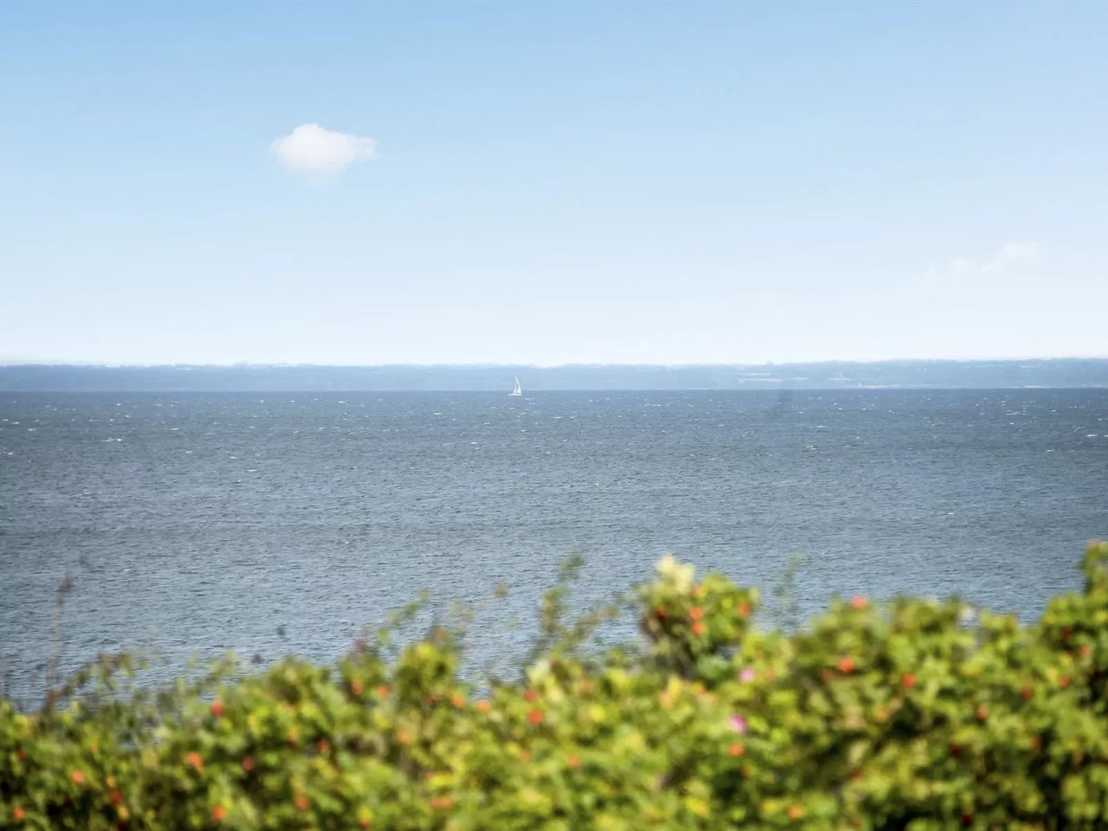 "Elfi" - 30m from the sea-Buiten