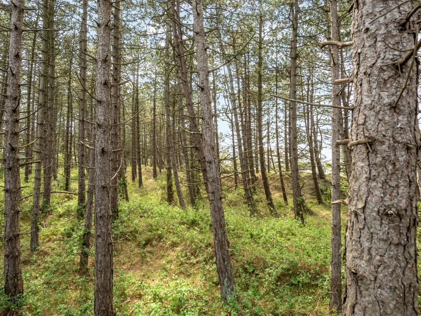 "Solvey" - 2km from the sea-Buiten