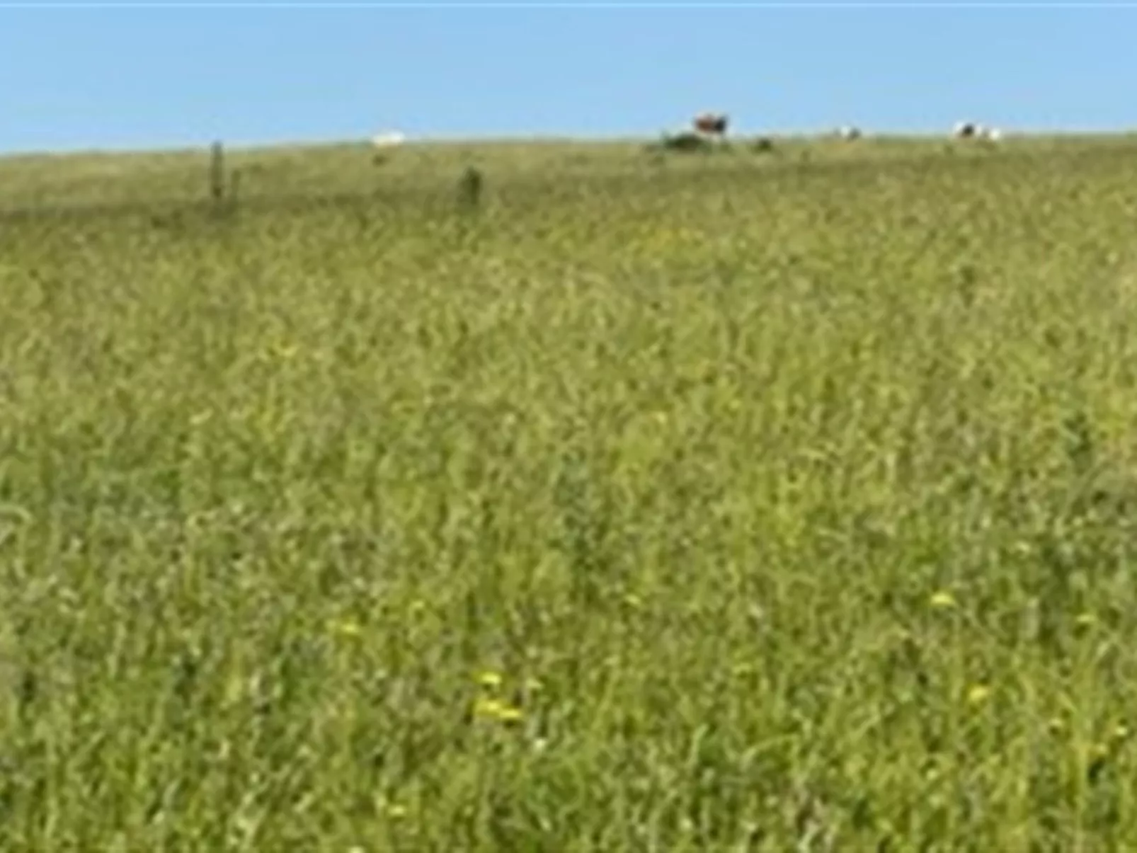 "Ebbeline" - 150m from the sea-Buiten