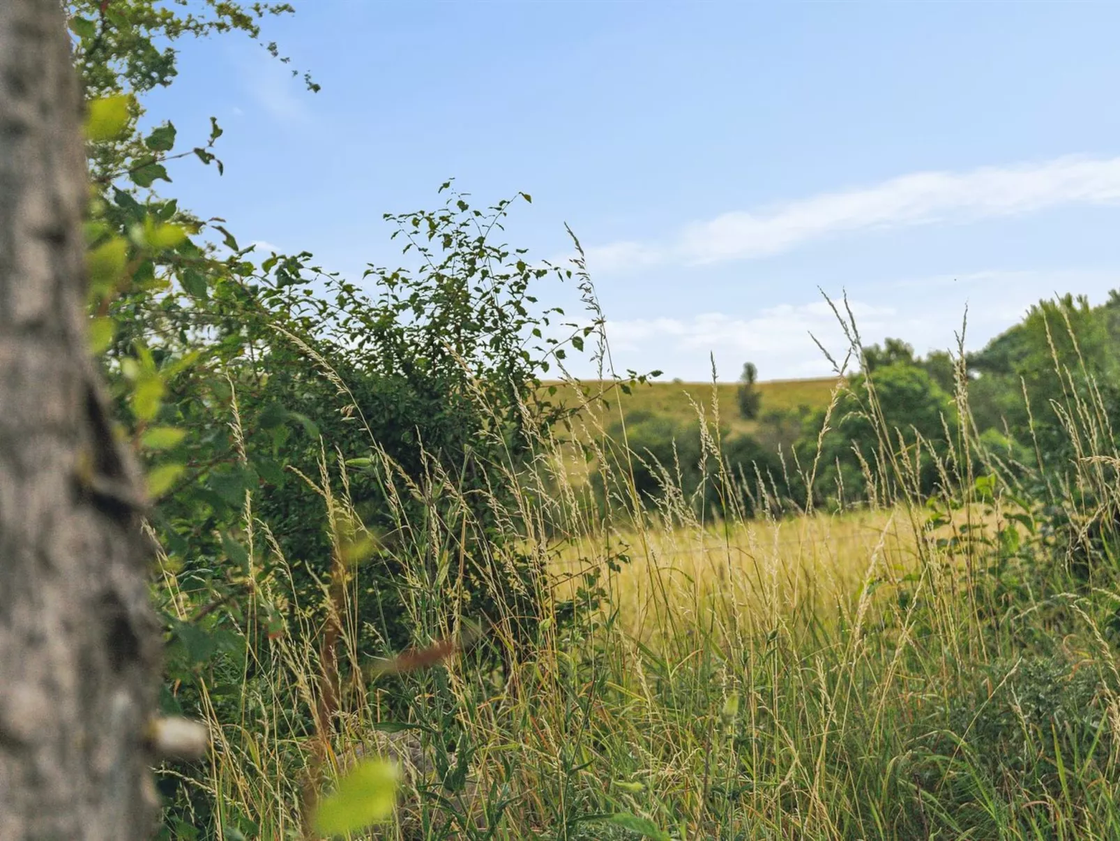 "Aurore" - 1.3km from the sea-Buiten