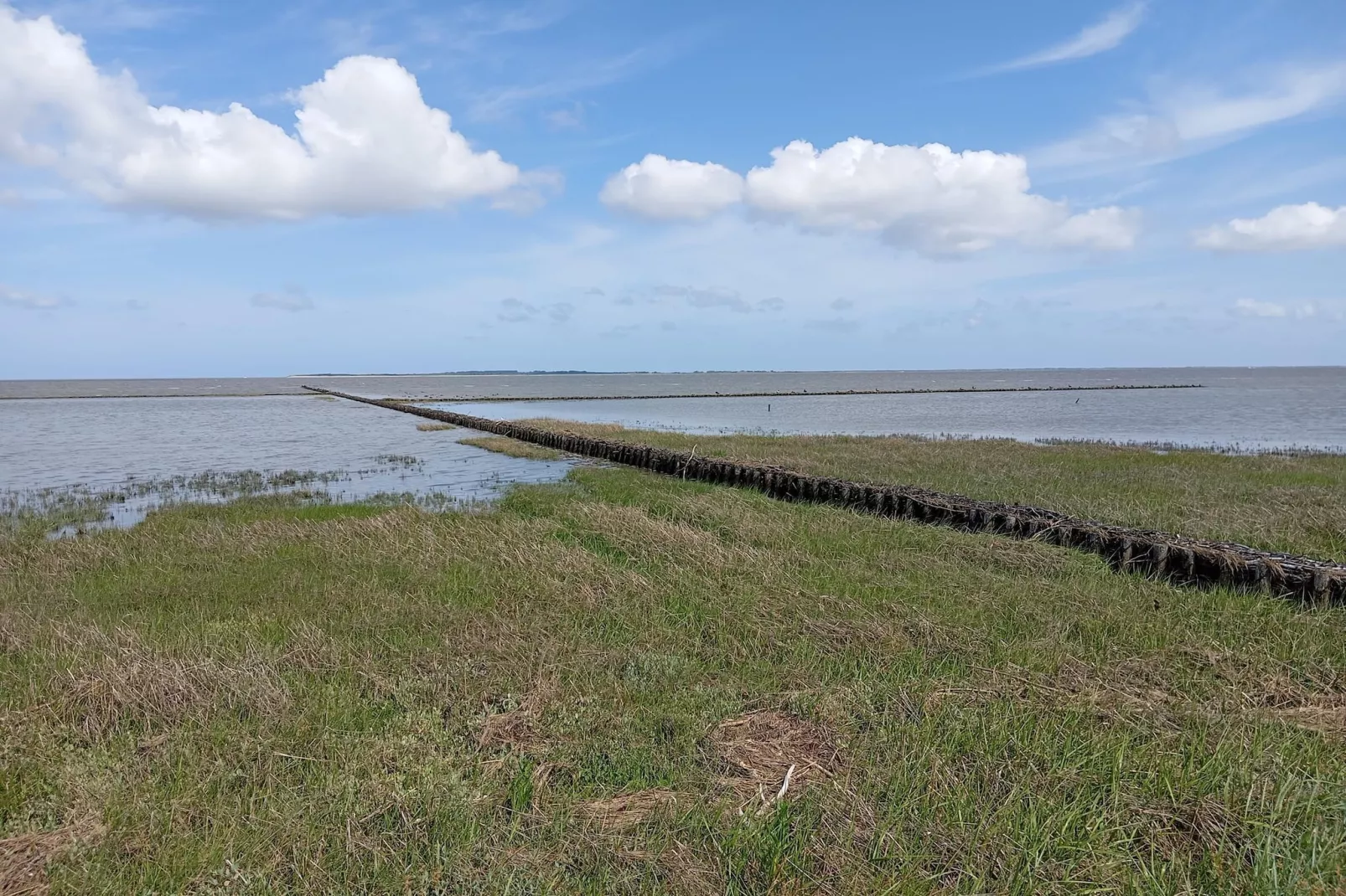 Ferienhaus Seeschwalbe-Gebieden zomer 5km