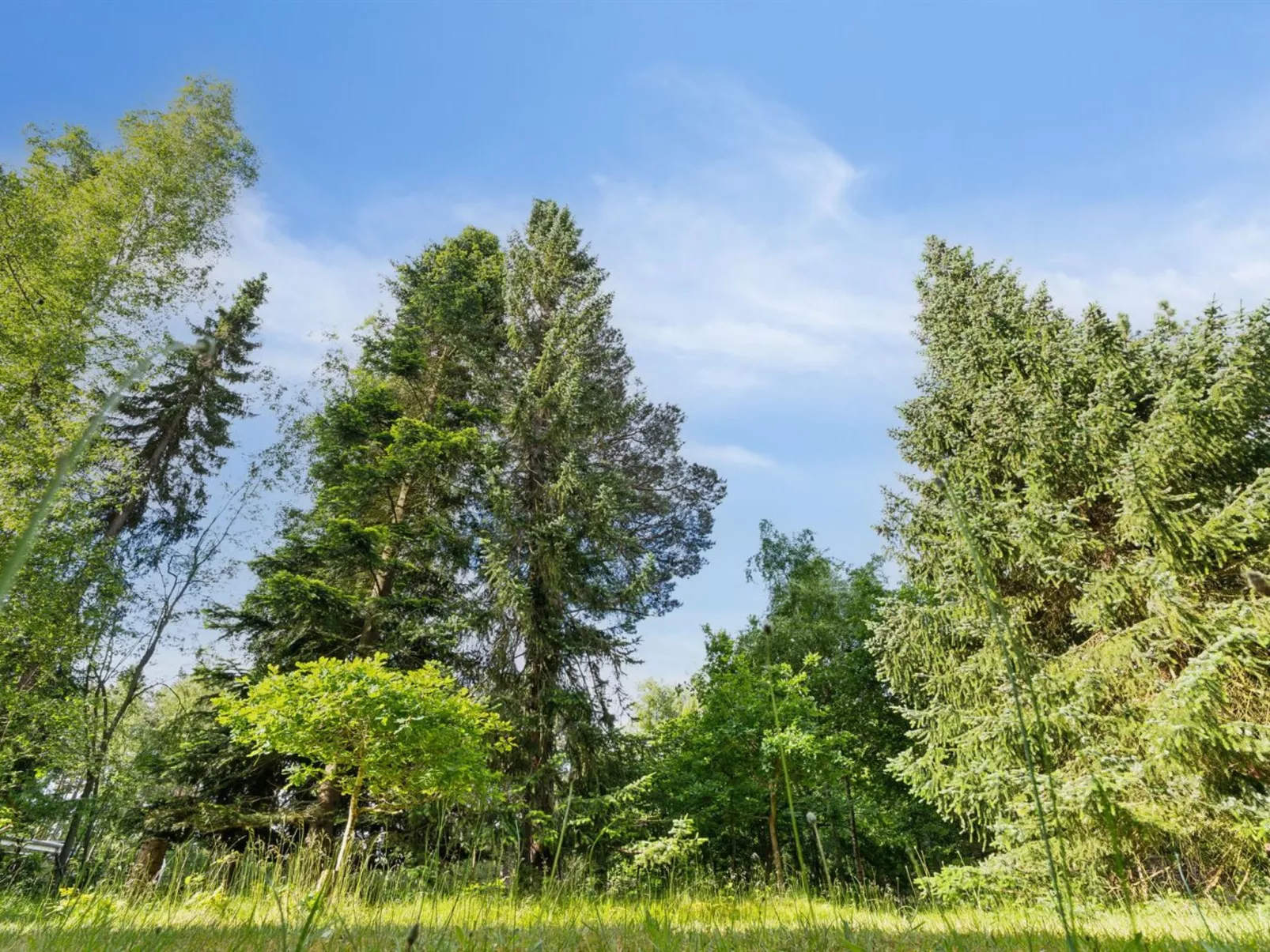 "Borghild" - 1km from the sea-Buiten