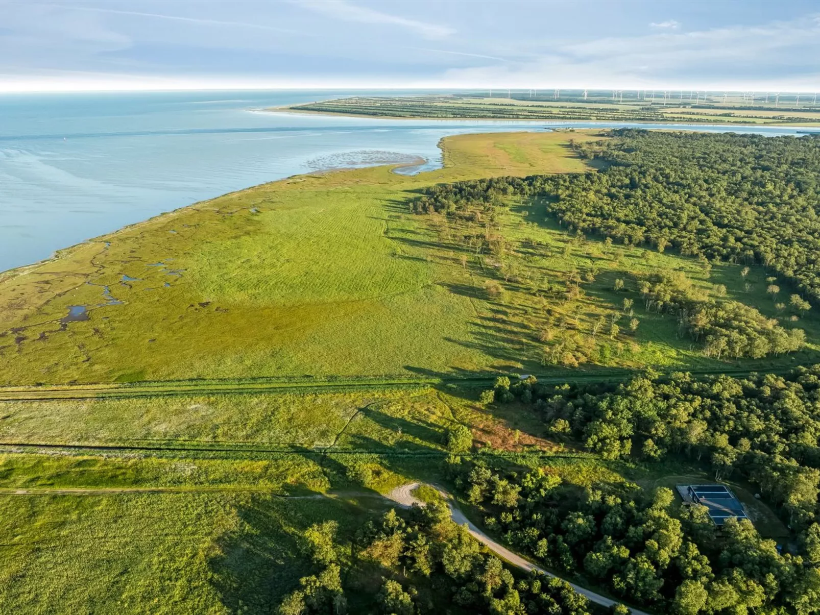 "Thorbiorn" -  from the sea-Buiten