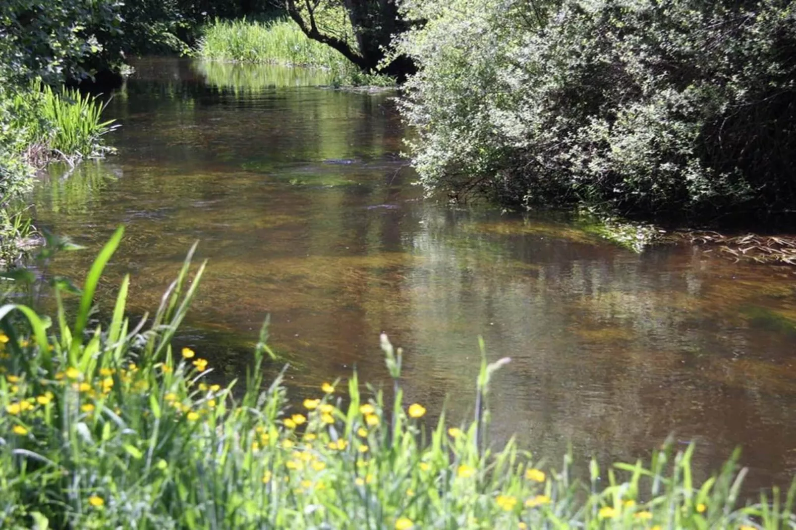 4 sterren vakantie huis in Hovborg-By Traum-Waterzicht
