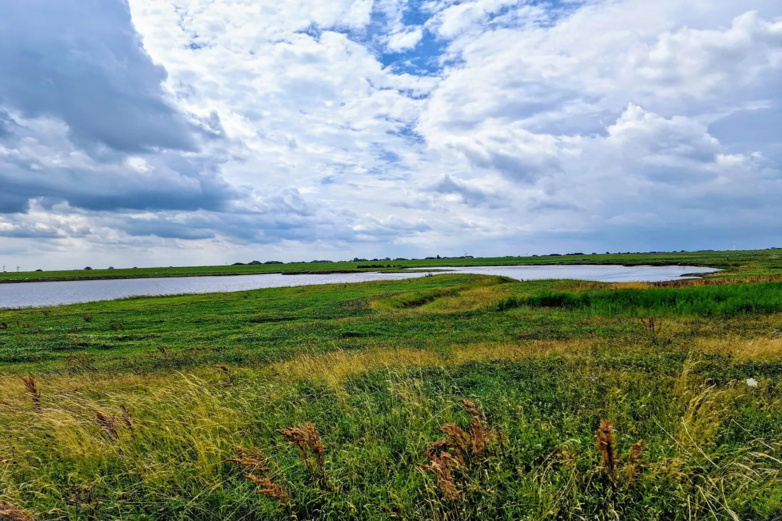 Doppelhaushälfte Julia 11-Gebieden zomer 5km