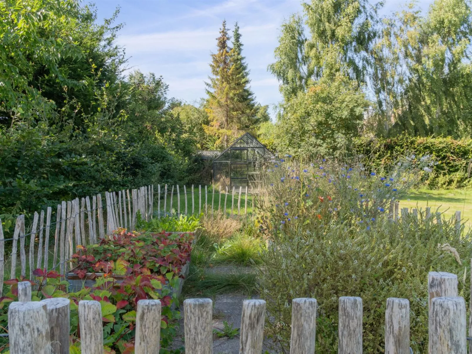 "Janik" - 1.3km from the sea-Buiten