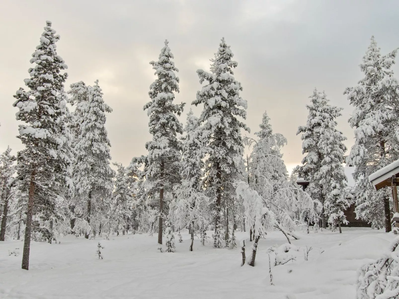 Ressipysäkki 1-Binnen