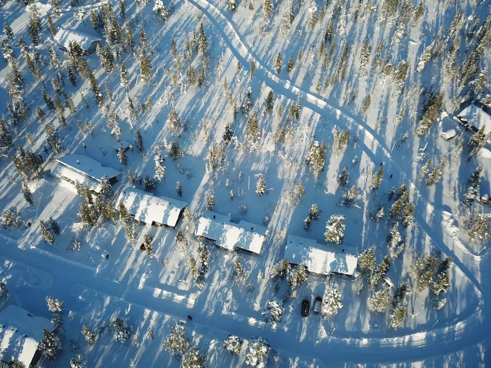 Tunturikoivu b2-Binnen