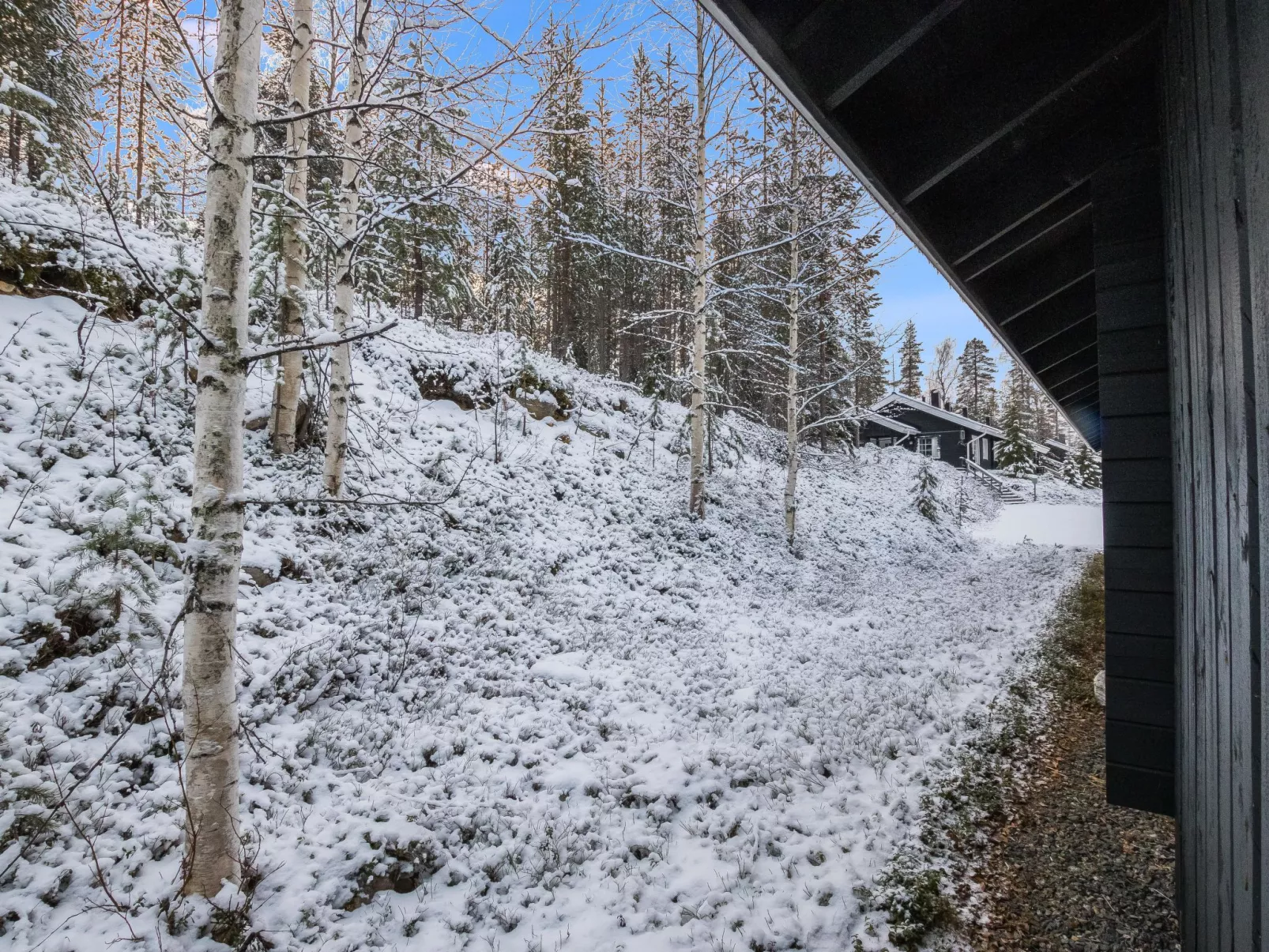 Lomaylläs f79 /palovaarankaarre 18b-Binnen