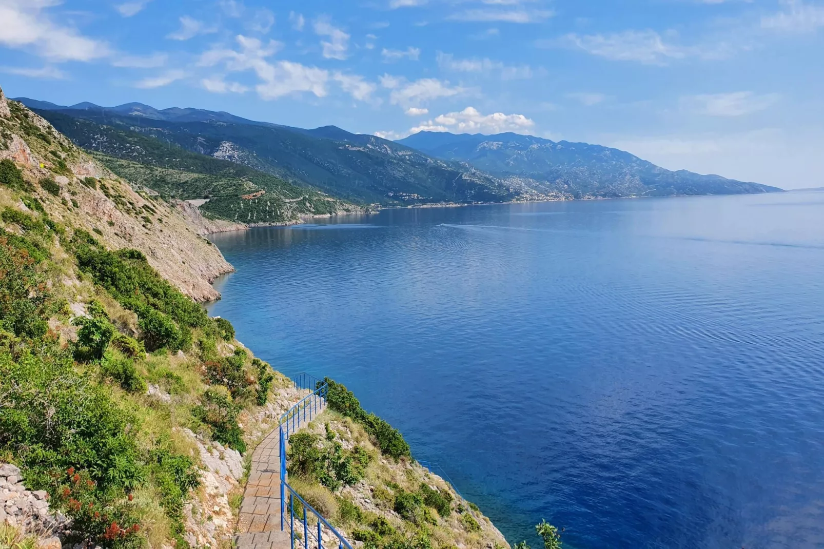 Niko 3-Gebieden zomer 5km