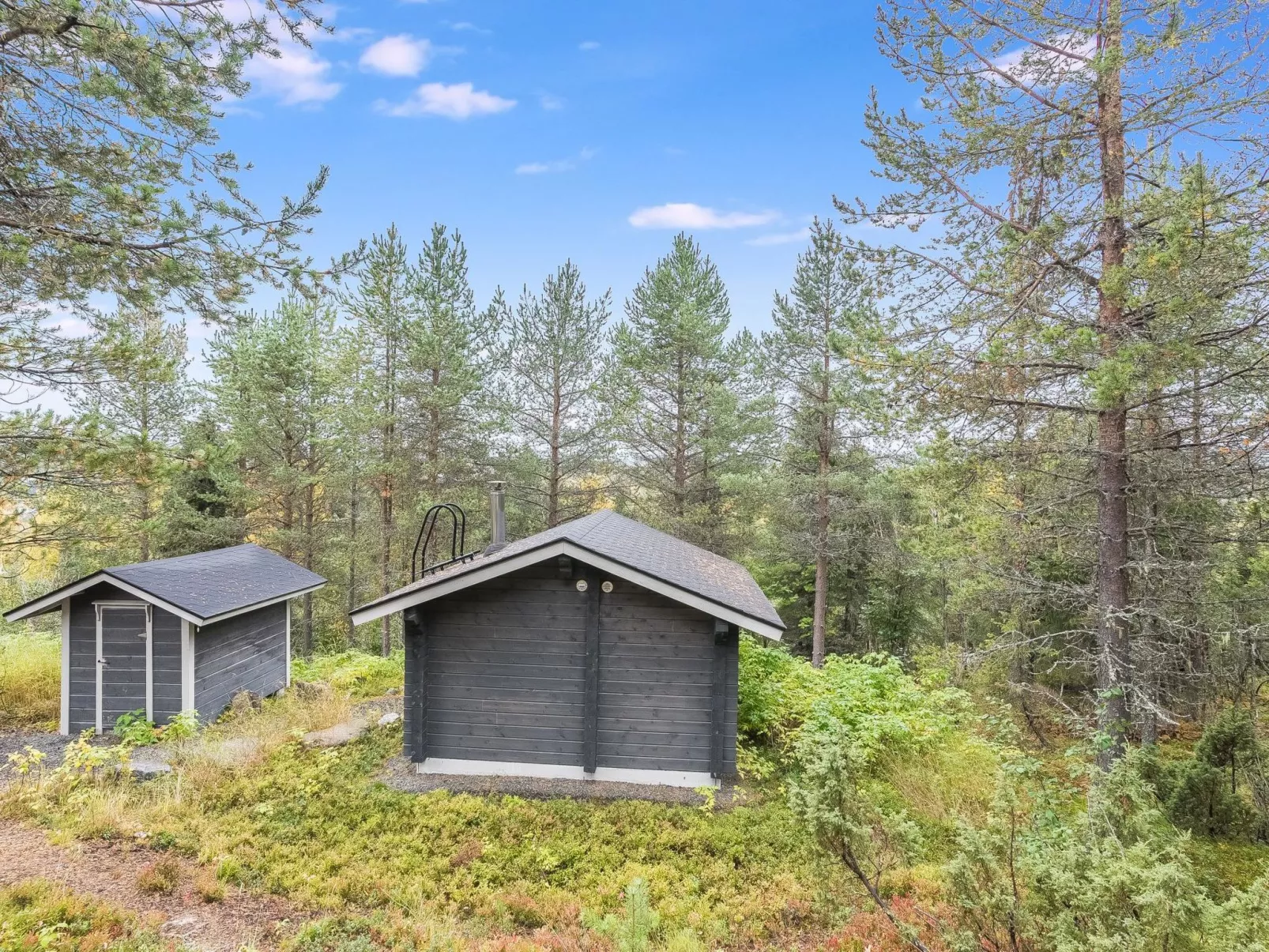 Rukanloisto b-Binnen