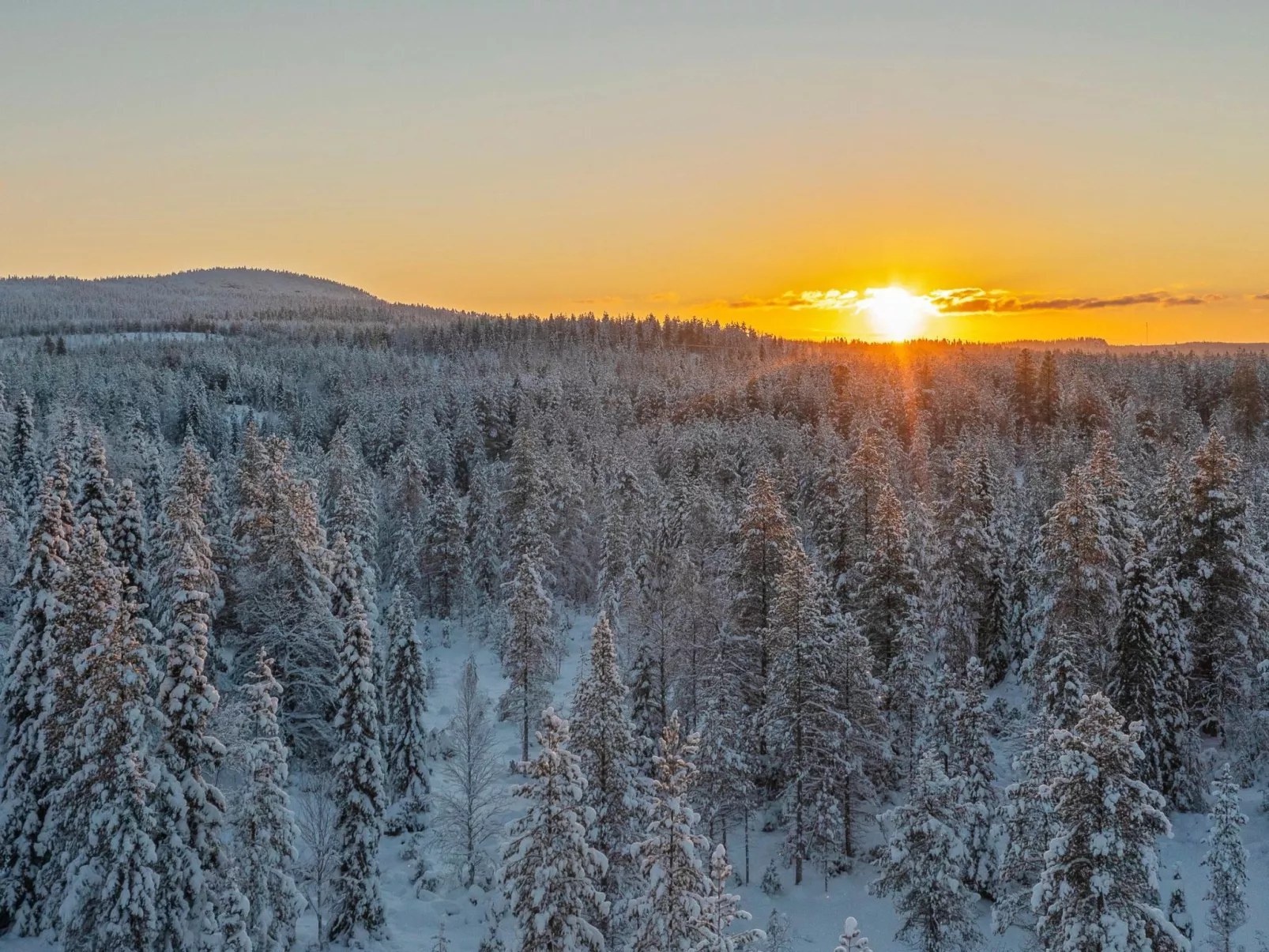 Villa rytilampi b-Binnen