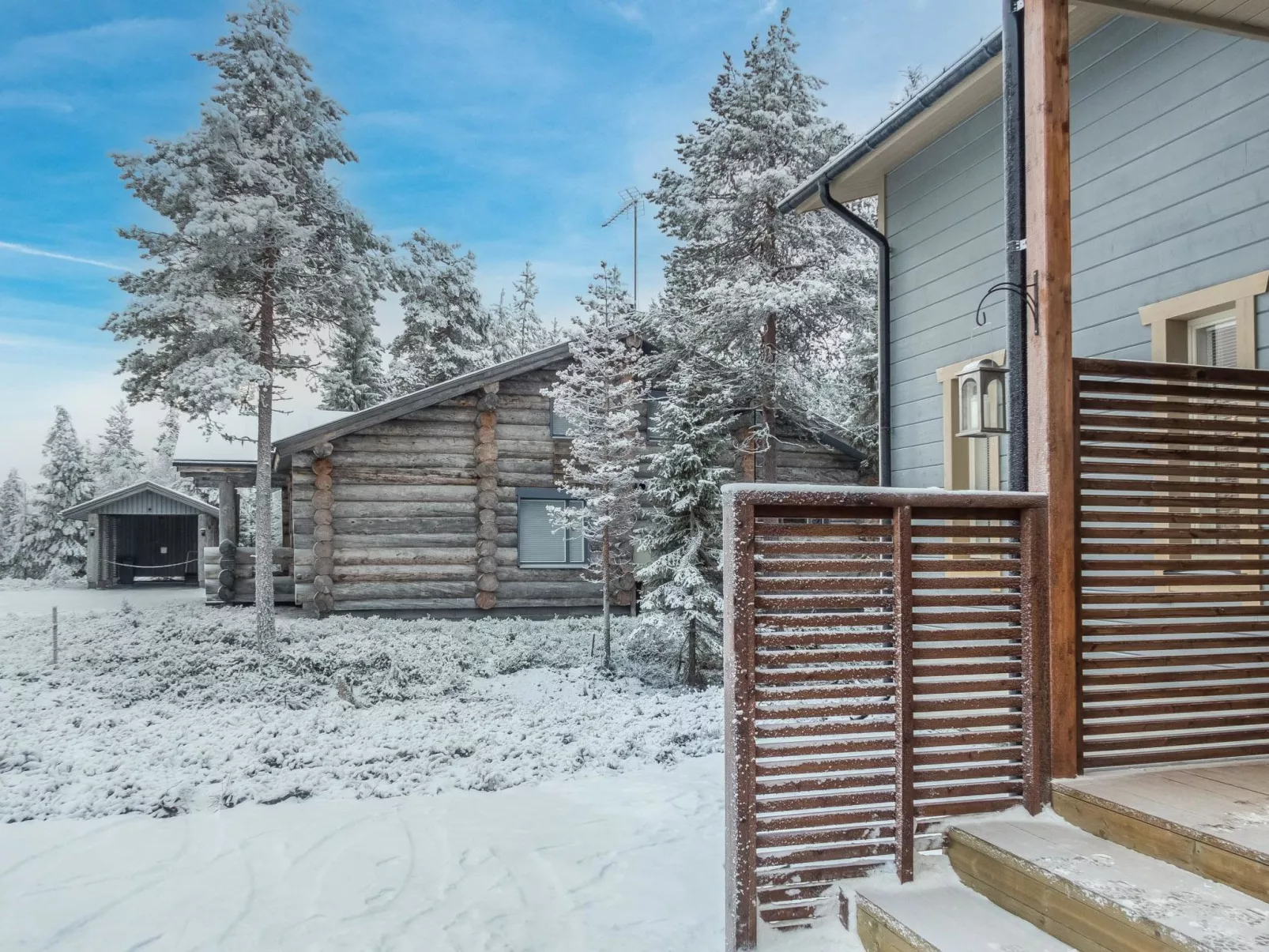 Saukonpesä a-Binnen