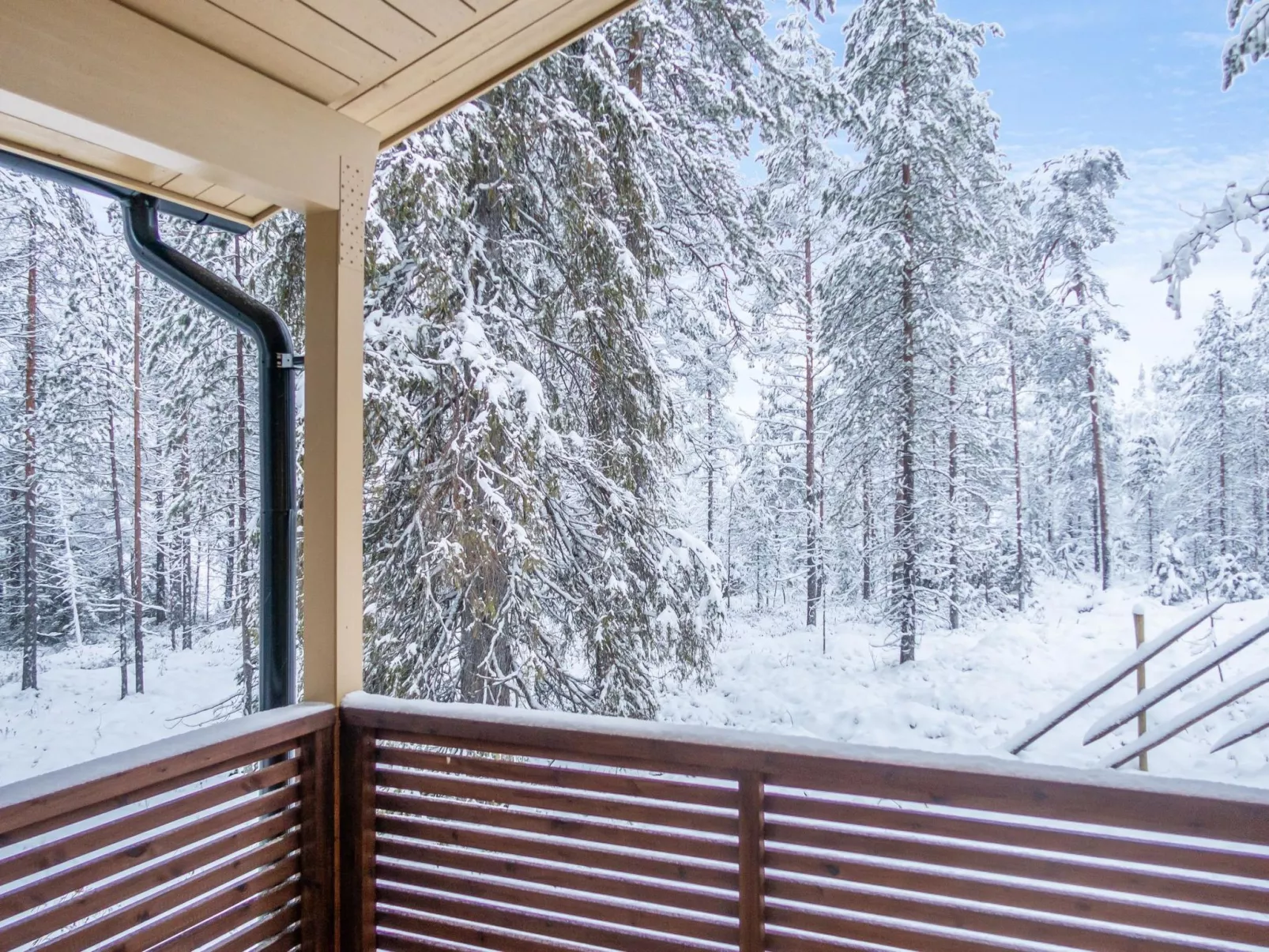 Saukonpesä b-Binnen